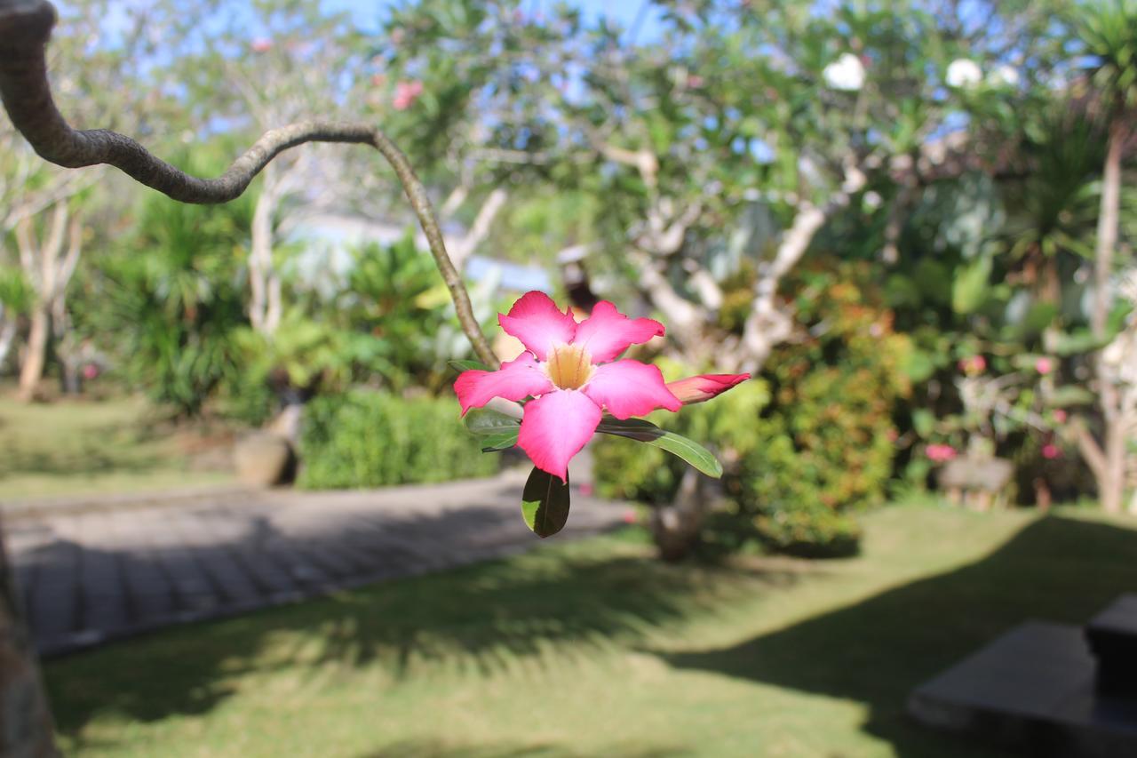 El Homestay Bali Nusa Dua  Exterior photo